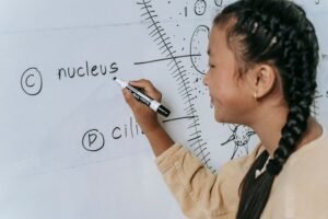 what users learn details
